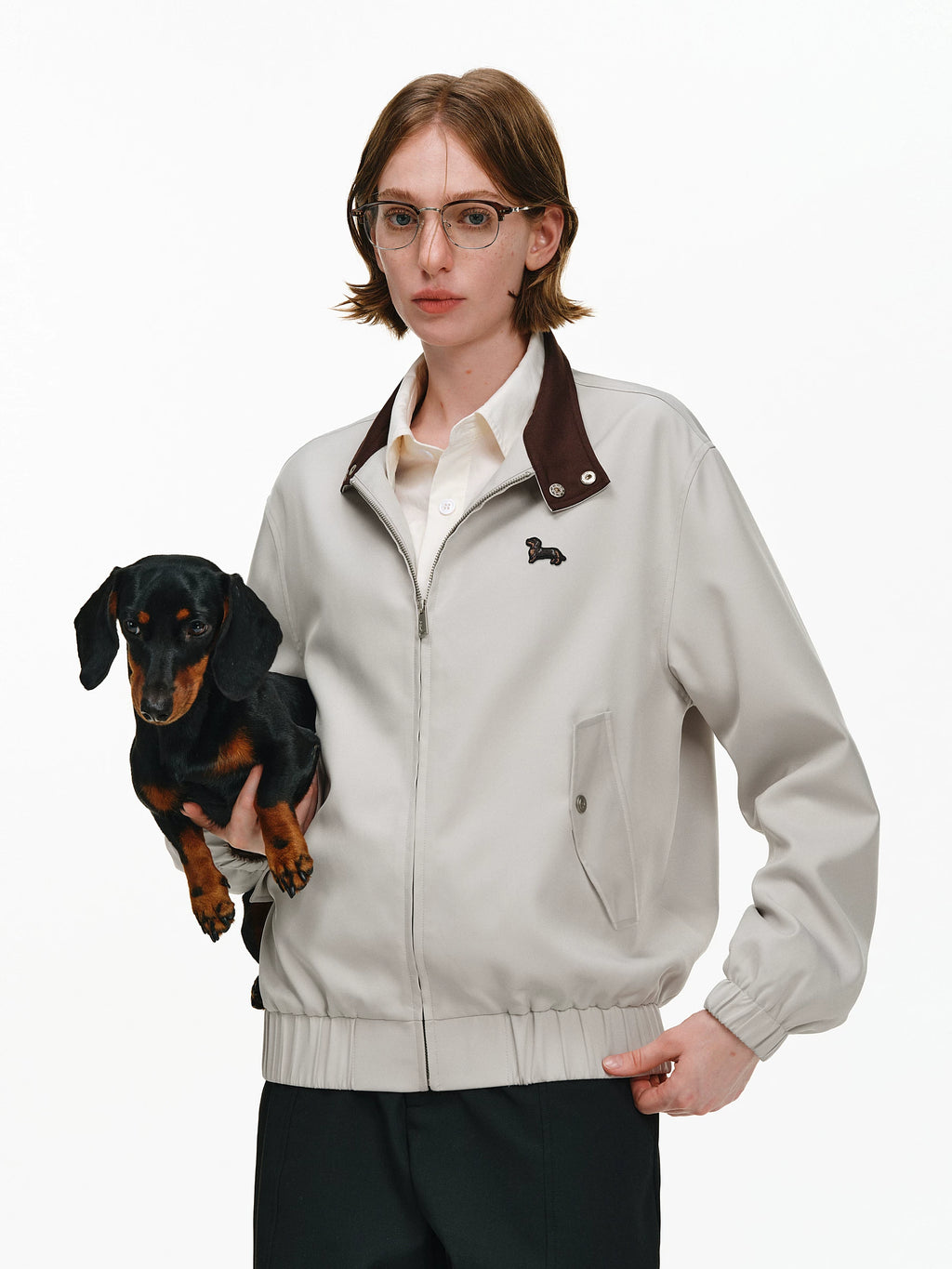 Dachshund Patch Harrington Jacket